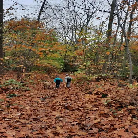 Comfort Near Historic Huy